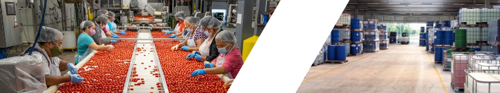 Potravinársky a chemický priemysel